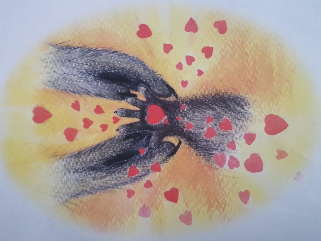 Beautiful watercolor closeup of Mrs. Raccoon holding her raccoon baby's paw in her paws. A red heart, symbolizing a kiss, is at the center of the baby's paw. Other red hearts spiral out over the furry raccoon arms and orange watercolor background.